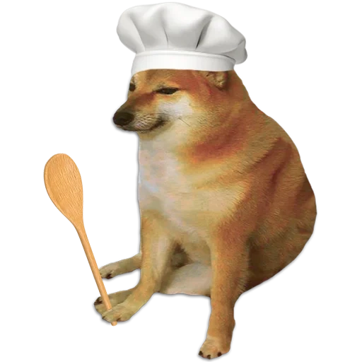 shiba iu mem, shiba inu meme, doge memm, mem con un cane di siba inu, siba iu meme