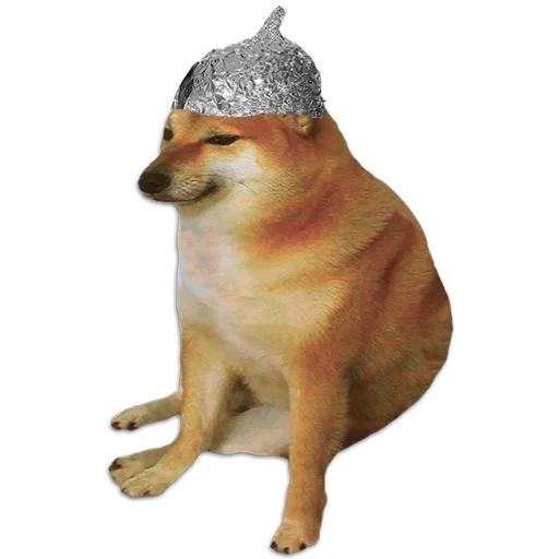 shiba iu mem, shiba inu meme, dogi memes gepumpt, mem mit einem hund siba inu, sad siba inu meme