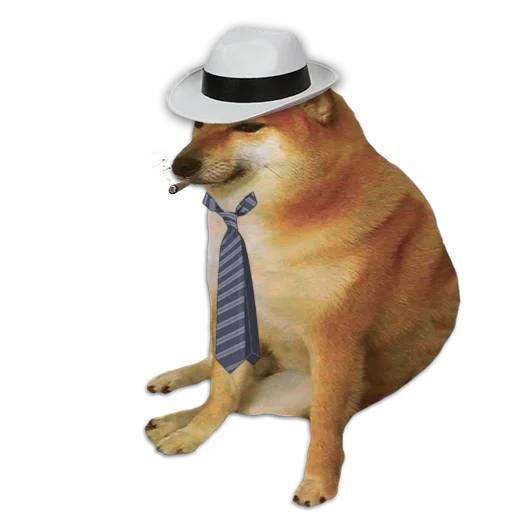 doge dog, mem mit einem hund siba inu, shiba iu mem, shiba jiba, siba iu meme