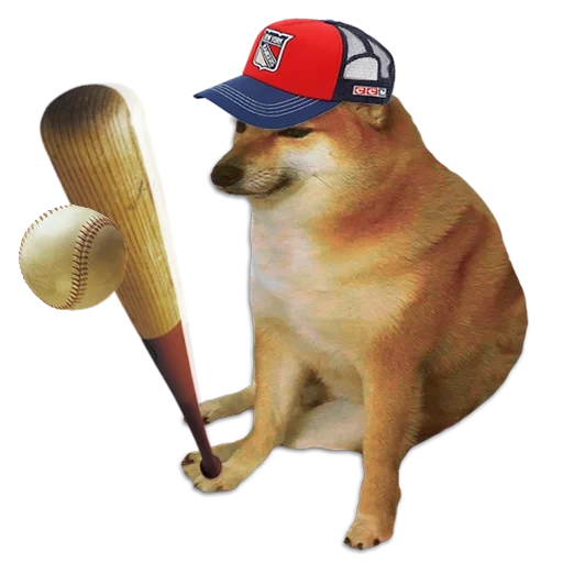 a meme with a dog of siba, a dog with a bat, shiba is a meme, shiba inu, doge dog