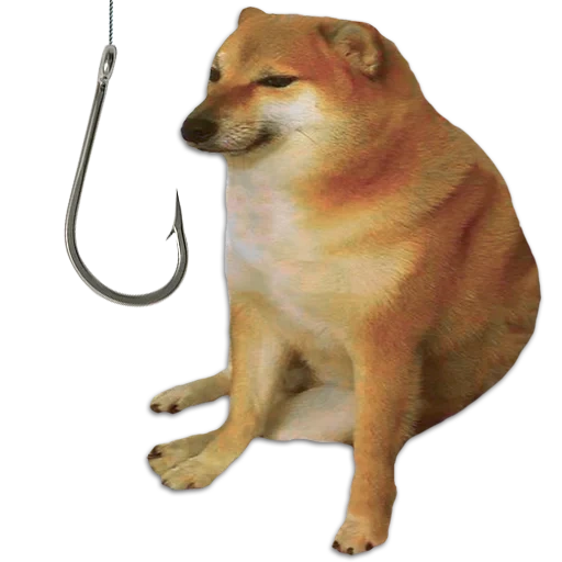 shiba inu meme, siba iu mem, siba inu, shiba inu, doge dog