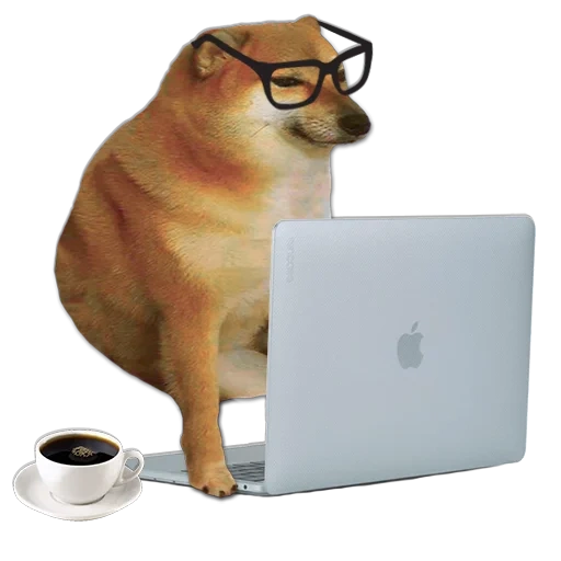 cane con un meme di pipistrello, mem cane, dog siba, canale telegramma, shiba inu