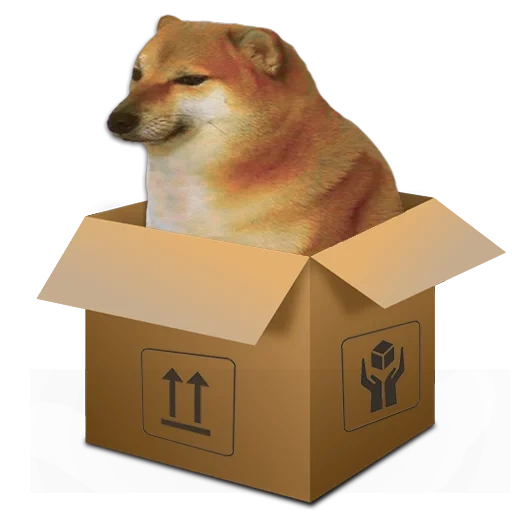 shiba inu, siba inu, shiba iu mem, doge doge, mem dengan dog