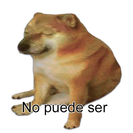 siba iuu, shiba jiba es un swing, triste siba inu mem, siba inu llorando un meme, shiba a sims