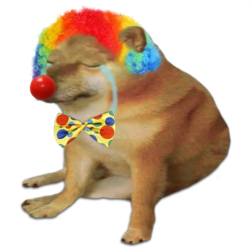 siba inu meme, sad doge, merry dog, stickers, memm