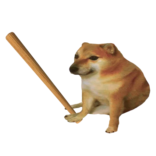 meme dog with a bat, siba is a meme, meme with a dog of siba, dog, meme from siba is big and small