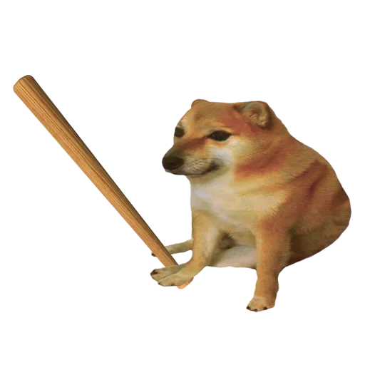 meme dog con un bate, siba es un meme, meme con un perro de siba, dog, meme de siba es grande y pequeño