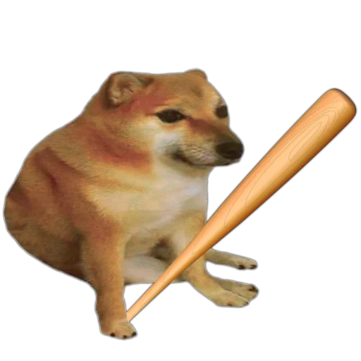 chien, horney bonk, chien avec une batte mem, mem chien, doge