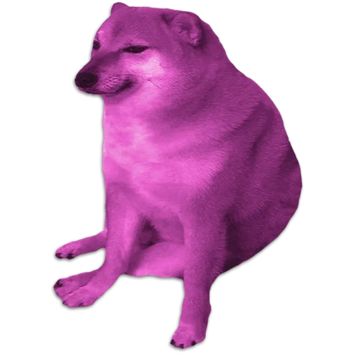 twitch.tv, shiba inu meme, chien siba inu, mem avec un chien de siba inu, doge meme