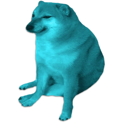 twitch.tv, doge dog, shiba is a meme, meme with a dog of siba inu, dog siba inuu