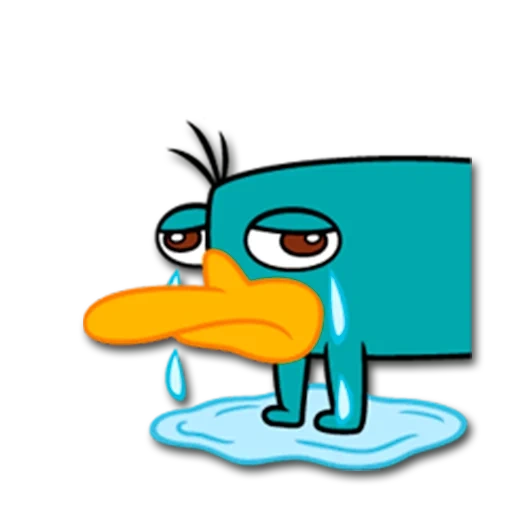 perry the platypus, perry the platypus, perry the platypus is cute, perry patkonos cartoon