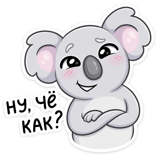 coala, kuala, koala percy