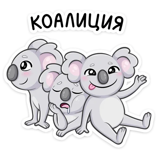 coala, koala percy