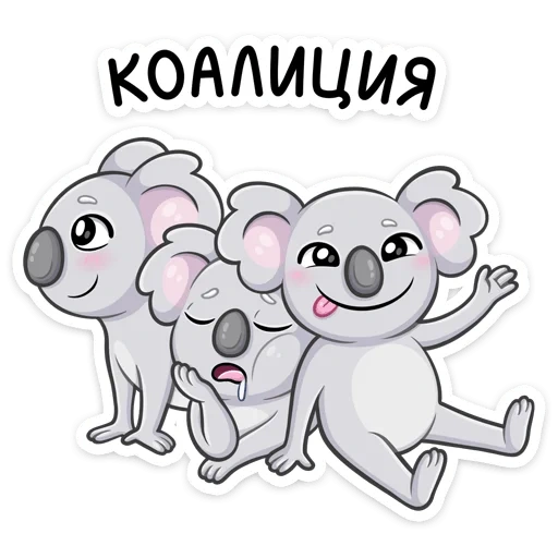 коала, коала перси