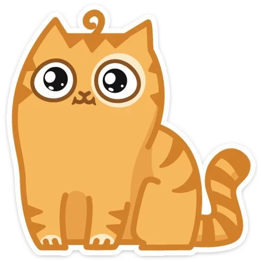 choque de gato, gato persik, chicote persa