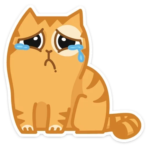 cat persik, chat triste, chat offensé, le chat pleure