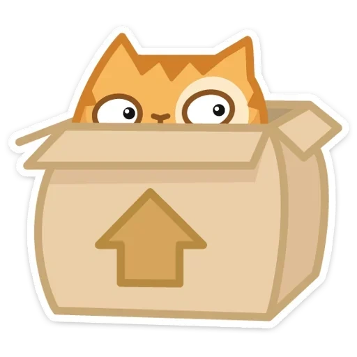 kucing, kucing, kucing persik, kotak persik kucing