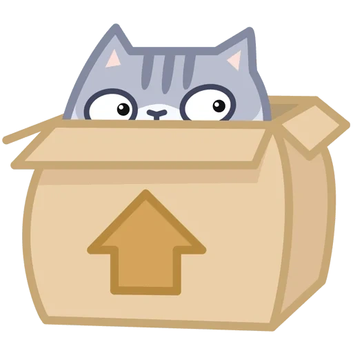 gato, gatos, gato persik, durazno gris, caja de durazno de gato