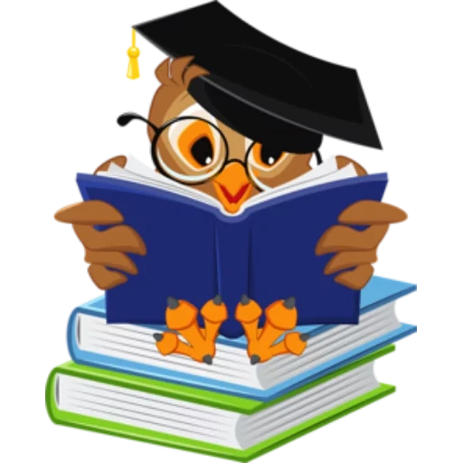 knowledge, owls are clever, the pedant owl, a page of text, wise owl transparent background