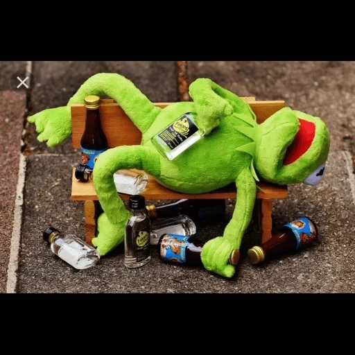 komi frog, comet the frog, frog plush toy, frog komi drug addict, frog comet bottle