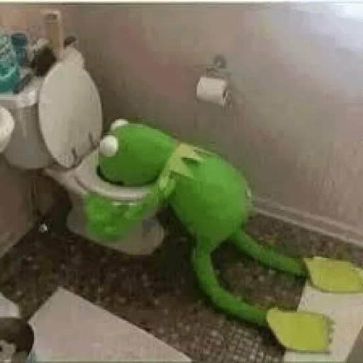 kermit, kermit meme, melancholy green, comet the frog, frog comey drunk