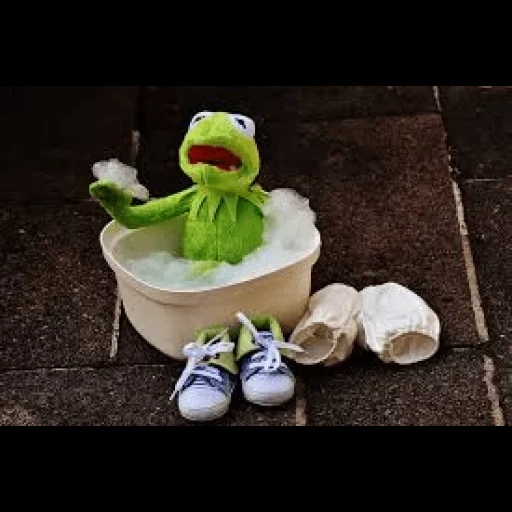 kermit, frog basin, comet the frog, frog comey bathtub, frog toy