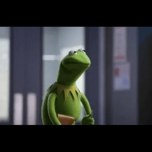 kermit, kermit, muppet show, comet the frog, frog comey's panic disorder