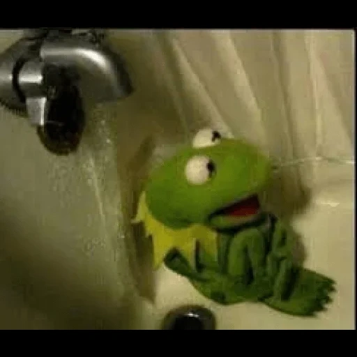 kermit, kermit, comet the frog, comet the frog, frog comey bathtub