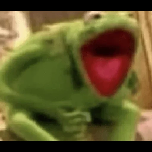 komi frog, comet the frog, frog comet meme, comey the frog laughs, comet the frog laughs