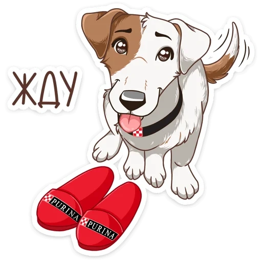 stickers purina petamians, dog jack russell terrier, jack russell terrier, stickers, new stickers