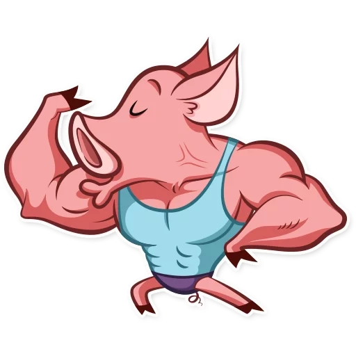 pumped pig, system pig petya, pig poyage, pig, stylest pig