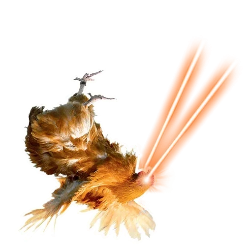 ayam jantan, harry potter's phoenix, bawah transparan phoenix, latar belakang transparan burung panas, burung phoenix harry potter