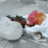 gallo, un gallo de papel, gallo con una pistola, francotirador, un rifle de gallo