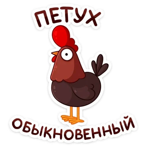 rooster, dark horse cock, pethochia, bird cock, turkey