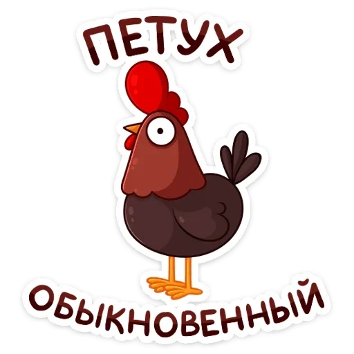 петушок, тёма петушок, петушок петя, птица петушок, петух прикольные