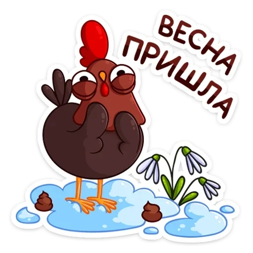 rooster, lovely, rooster, pethochia