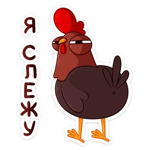 coq, coqs, petya cockerel, coq à oiseaux