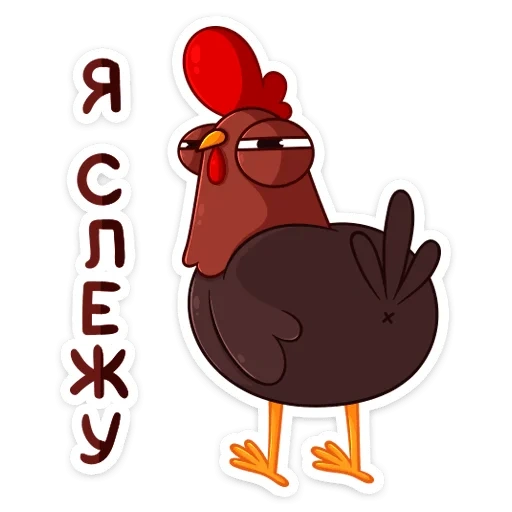 stiker petya petya, cockerel petya stiker di vk, stiker rooster, stiker dengan ayam, stiker ayam jantan