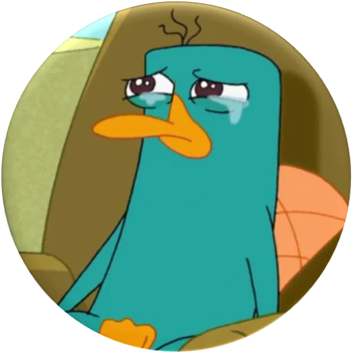 ferb fines, platypus, perry phinez feib, perry platypus is sleeping