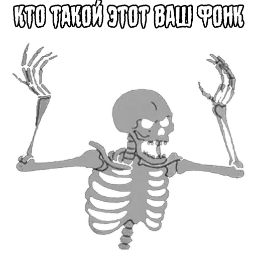 skeleton, meme skeleton, skeleton meme, skeleton pattern, skeleton sketch