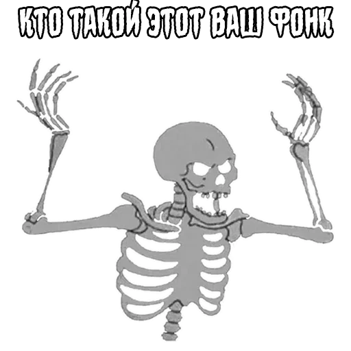 kerangka, kerangka mem, skeleton mema, menggambar kerangka, sketsa skeleton