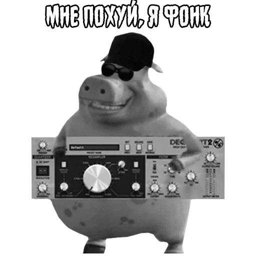 punk del maiale, sono un maiale punk, non sono un porco punk, mi piace il meme vonke, sono un punk