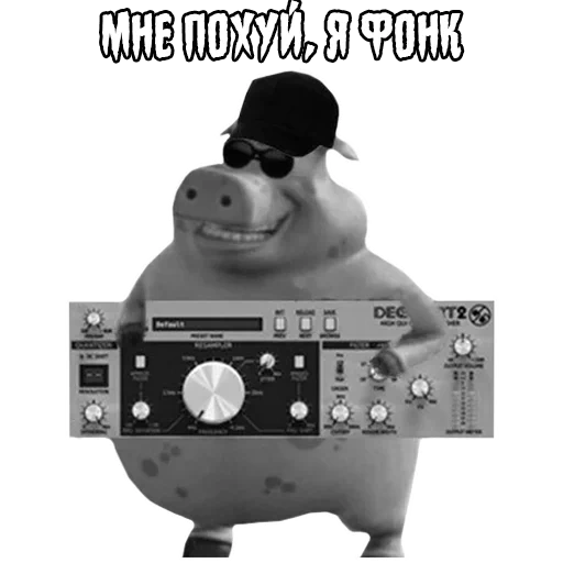 pig punk, i'm a punk pig, i'm not a pig punk, i like von ke meme, i'm a punk