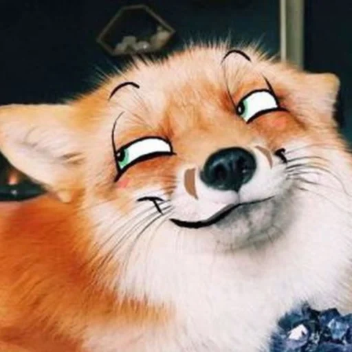 fox, fox sonríe, sonrisa de zorro, satisfecho con el zorro, sonríe zorro