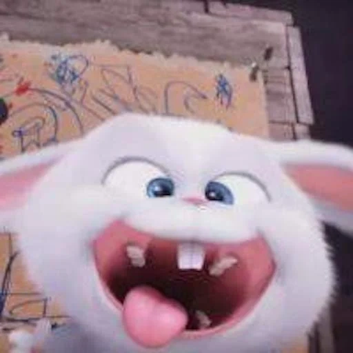 boule de neige de lapin, le lièvre de la vie secrète, animaux de compagnie lapin, la vie secrète des animaux de compagnie, lapin secret life of pets