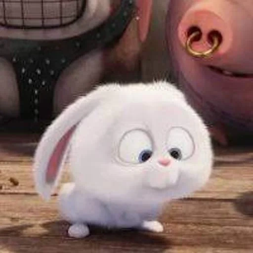 snowball di coniglio, la vita segreta degli animali domestici, little life of pets rabbit, ultima vita di animali domestici snowball, ultima vita di animali domestici snowball