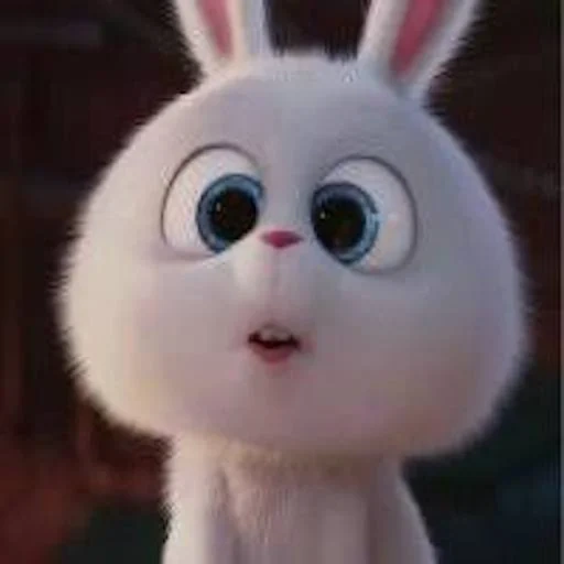 conejo, conejo lindo, bola de nieve de conejo, vida secreta del conejo mascota, vida secreta del conejo mascota