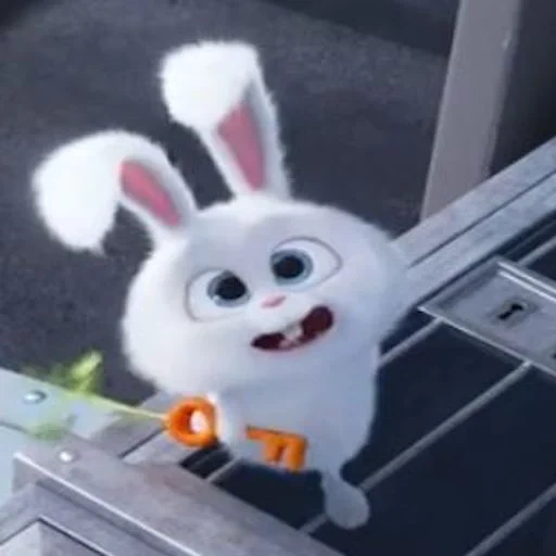 coniglio, rabbit arrabbiato, coniglio di palla di neve, little life of pets rabbit, vita segreta degli animali domestici hare snowball