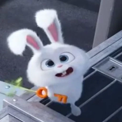 coelho, rabbit irritado, coelho da bola de neve, little life of pets rabbit, vida secreta de animais de estimação hare snowball