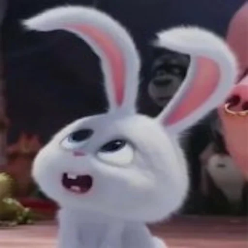 bola de nieve de conejo, conejo dibujos animados vida secreta, conejo dibujos animados vida secreta, vida secreta del conejo mascota, vida secreta de bola de nieve de conejo mascota
